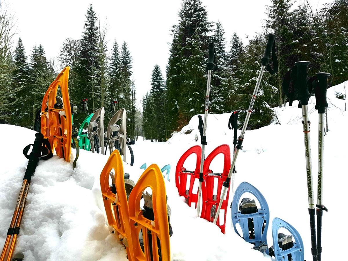 Auberge Refuge De Roybon Saint-Martin-en-Vercors Екстер'єр фото