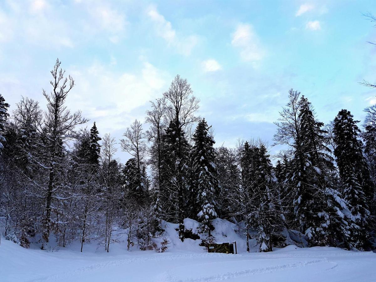 Auberge Refuge De Roybon Saint-Martin-en-Vercors Екстер'єр фото